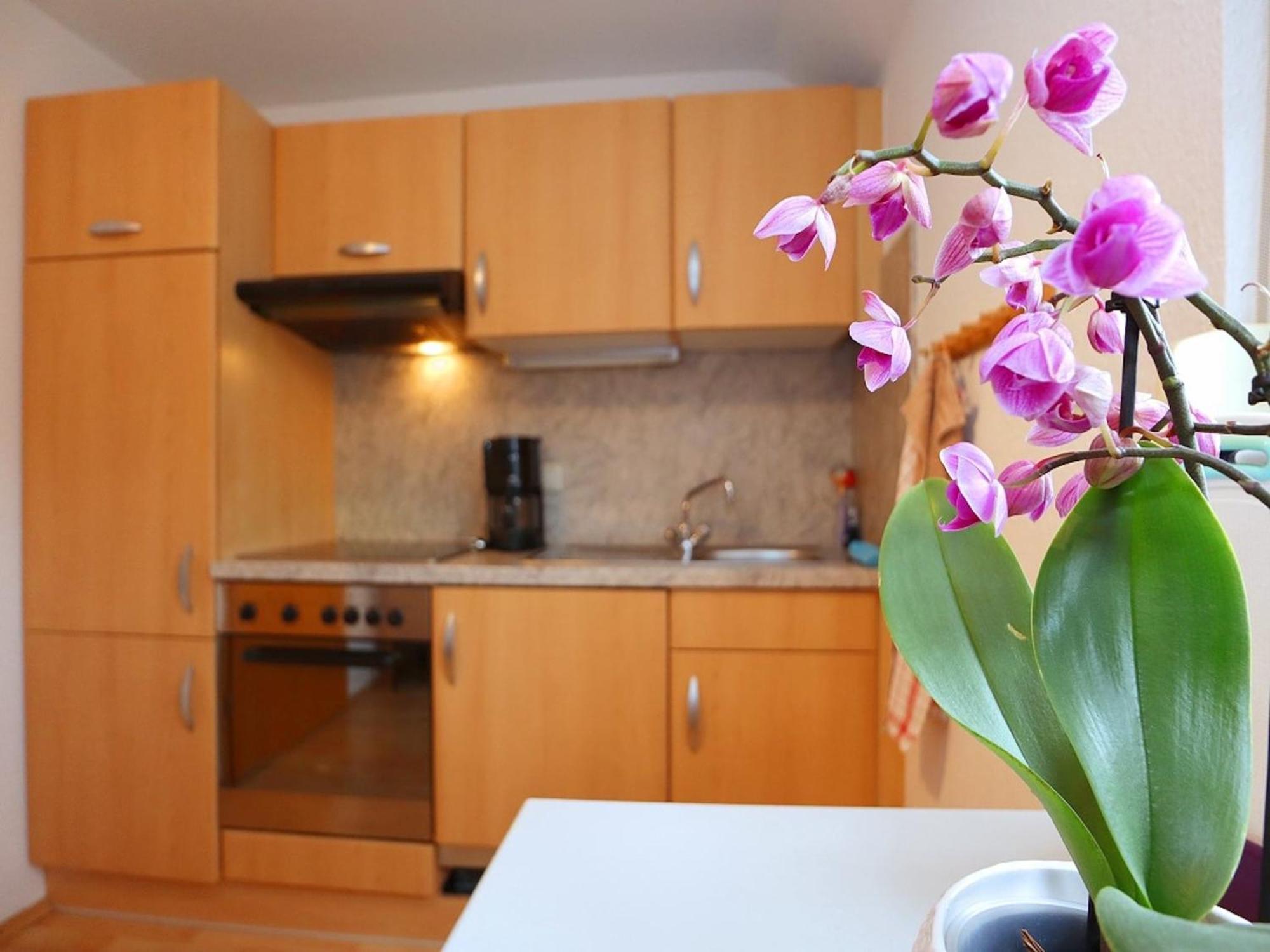 Cozy Apartment In Schwenningen With Garden 빌린겐슈베닝겐 외부 사진
