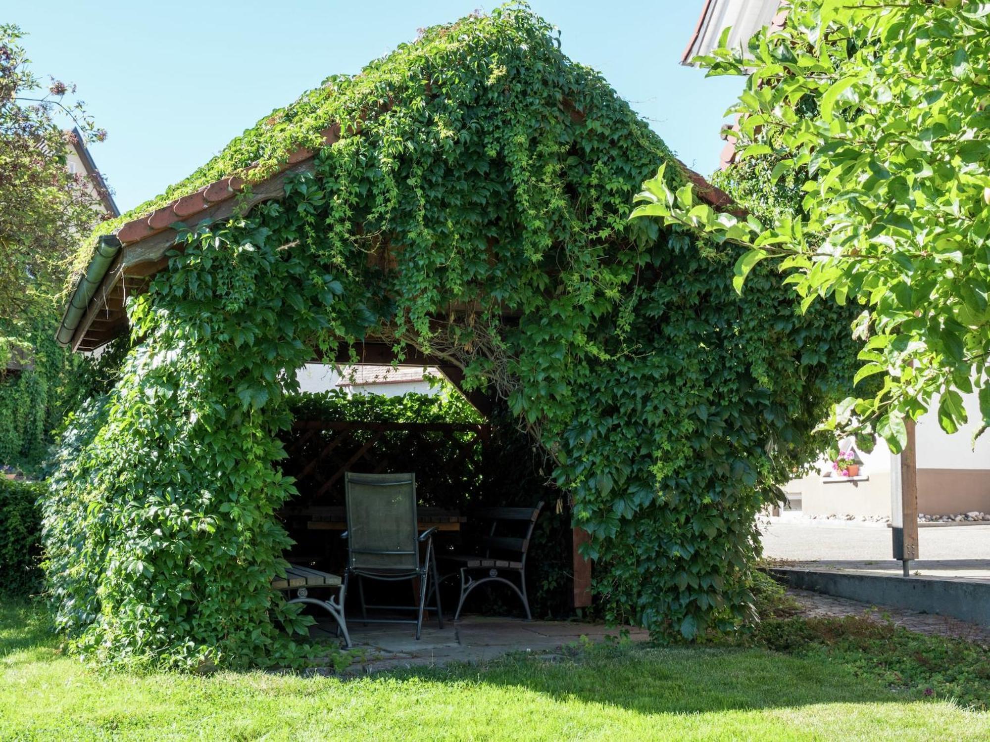 Cozy Apartment In Schwenningen With Garden 빌린겐슈베닝겐 외부 사진